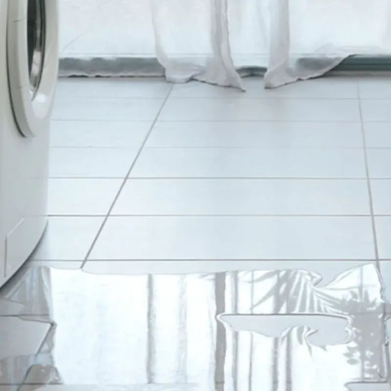 Appliance Leak Cleanup in Vinton, LA