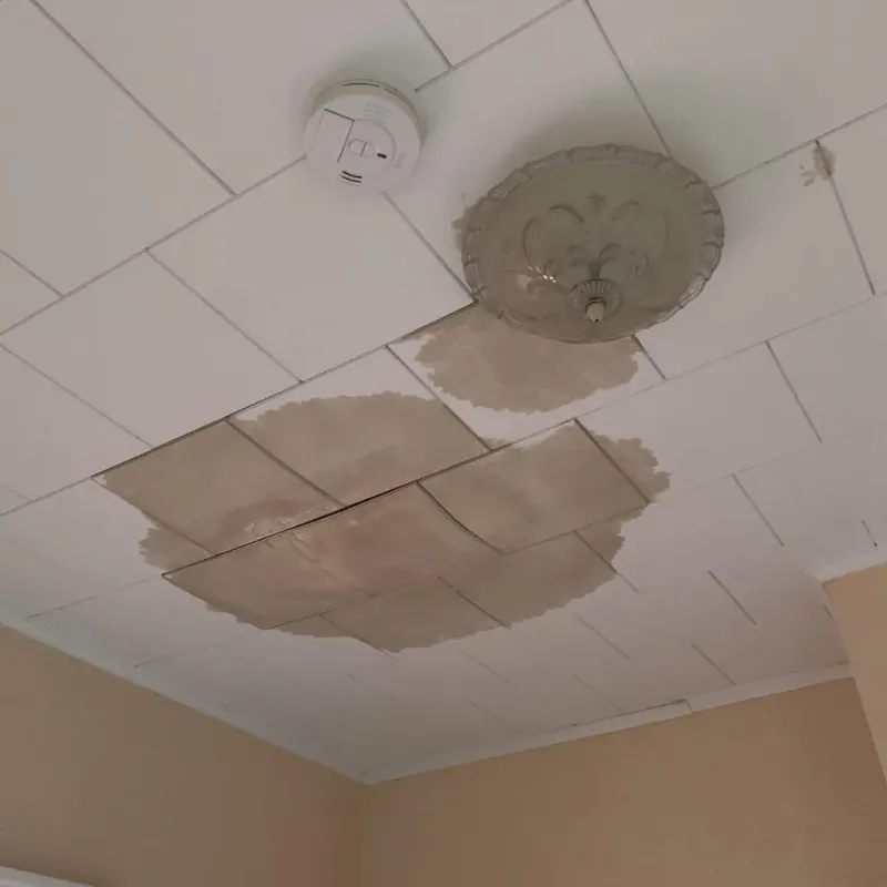 Ceiling Water Damage Repair in Vinton, LA