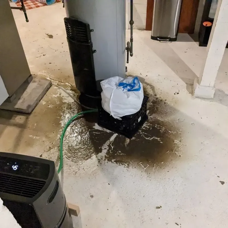 Sewage Backup Cleanup Service in Vinton, LA